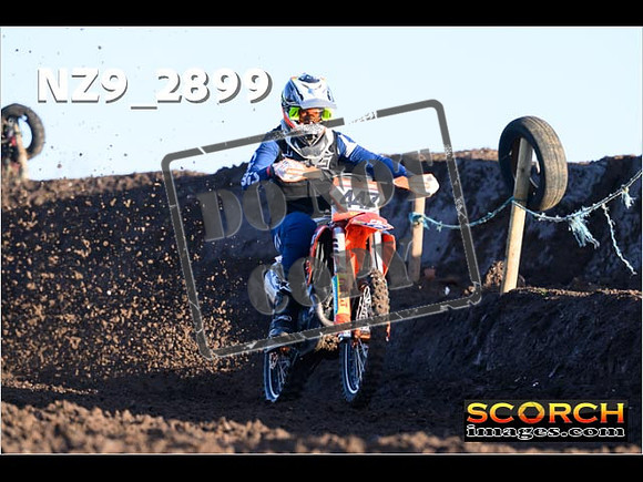 Experts-038