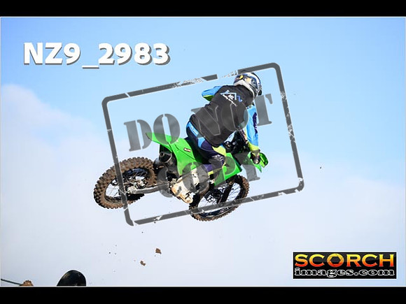 Experts-115