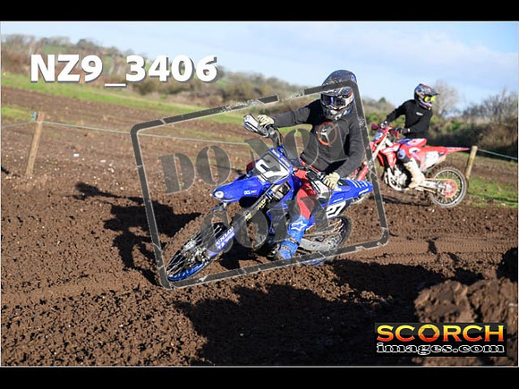 Experts-137