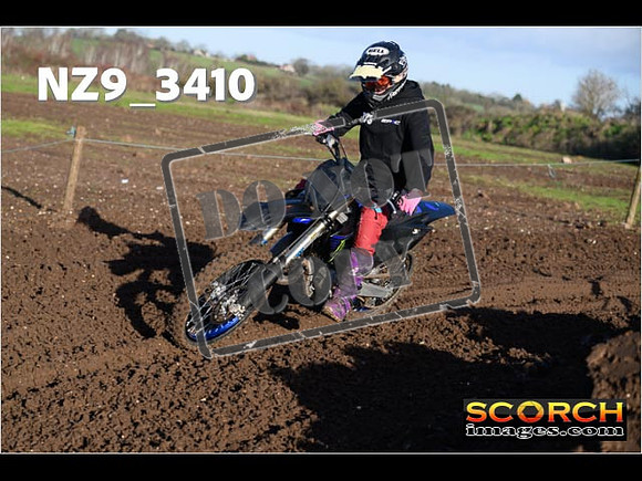Experts-141