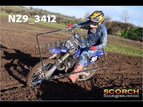 Experts-143