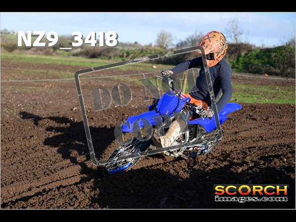 Experts-149