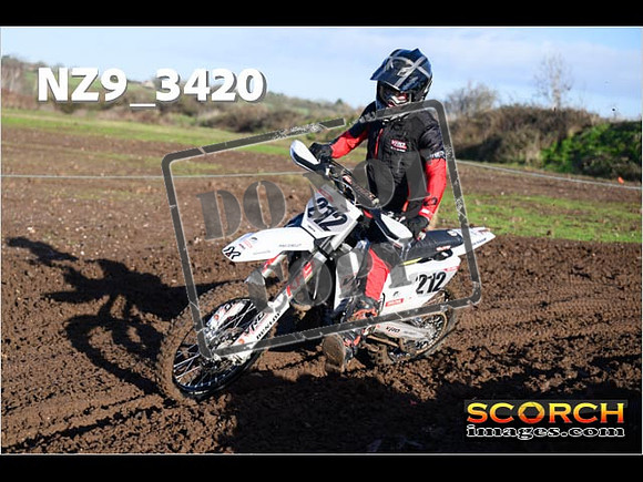 Experts-151
