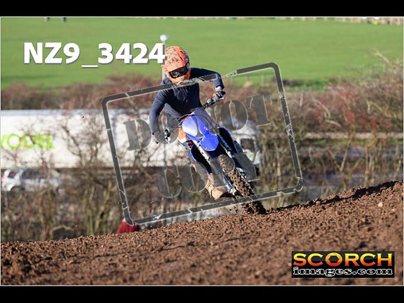 Experts-155
