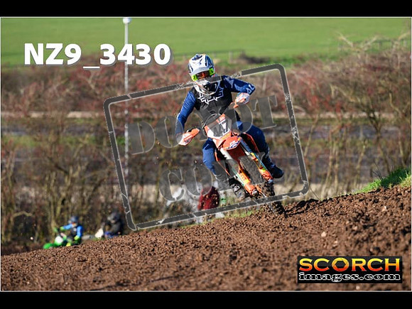 Experts-161