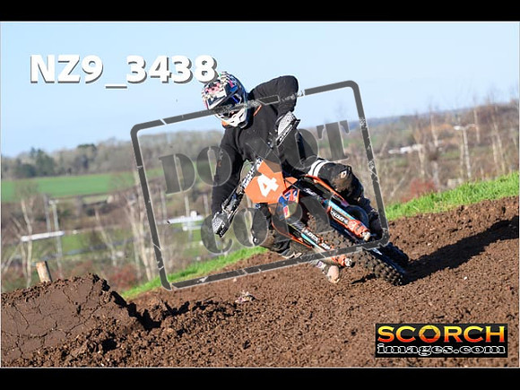 Experts-169