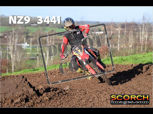 Experts-172