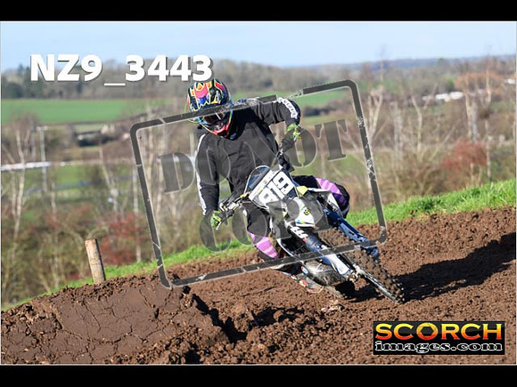Experts-174