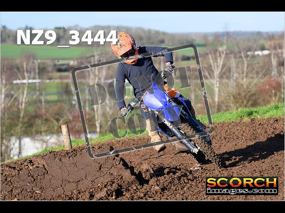 Experts-175