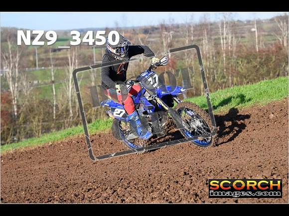 Experts-181