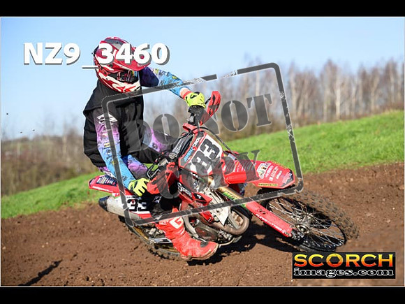 Experts-191