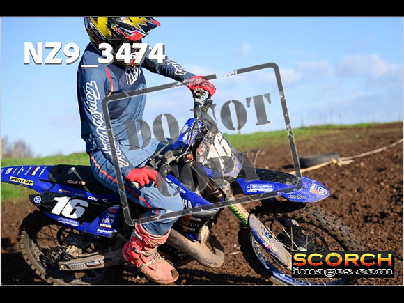 Experts-205