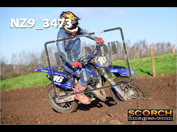 Experts-204
