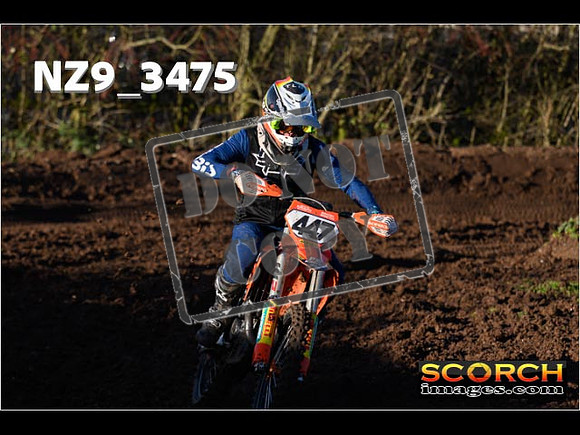 Experts-206