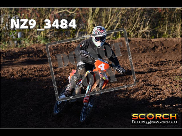 Experts-215