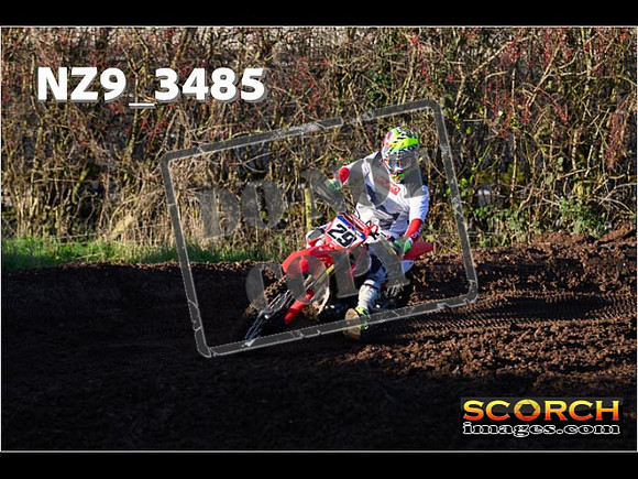 Experts-216