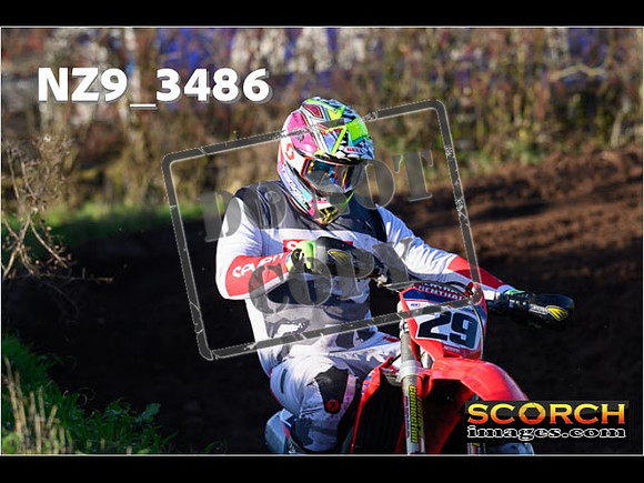 Experts-217