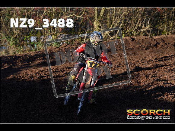 Experts-219