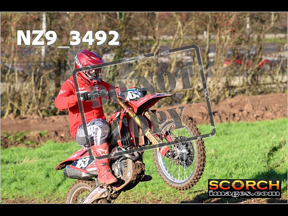 Experts-223