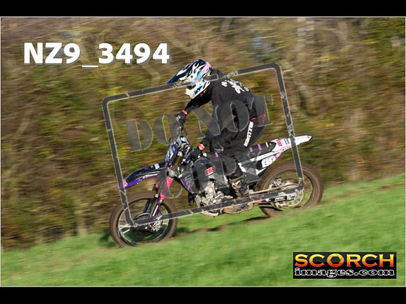 Experts-225