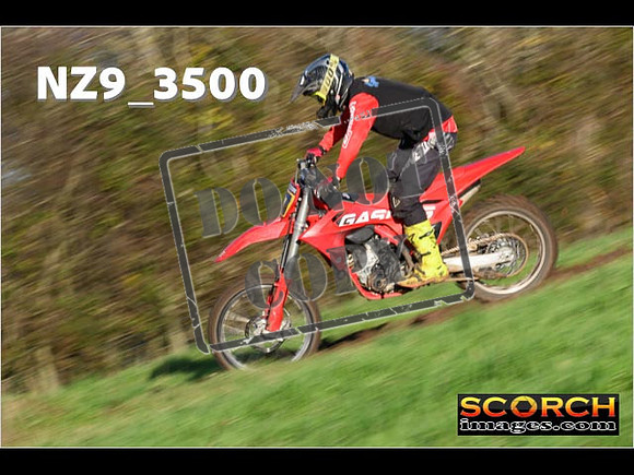 Experts-229