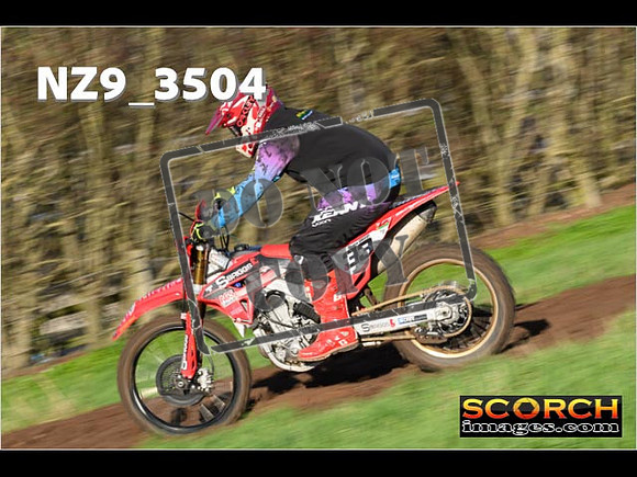 Experts-230