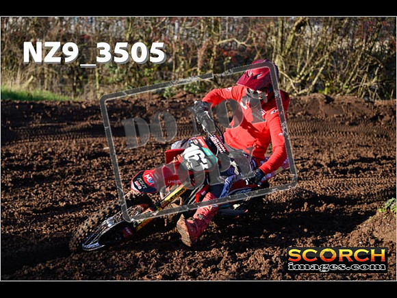 Experts-231
