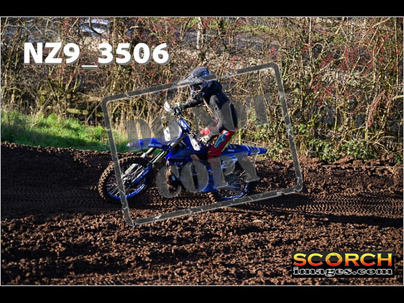 Experts-232
