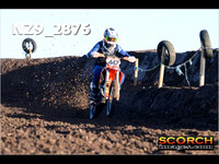 Experts-015