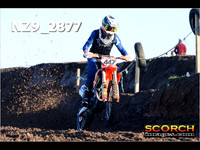 Experts-016