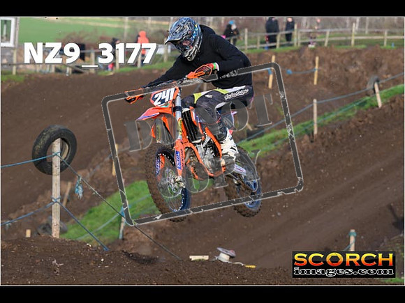 IntersGreenOrange-034