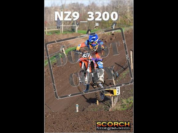 IntersGreenOrange-056