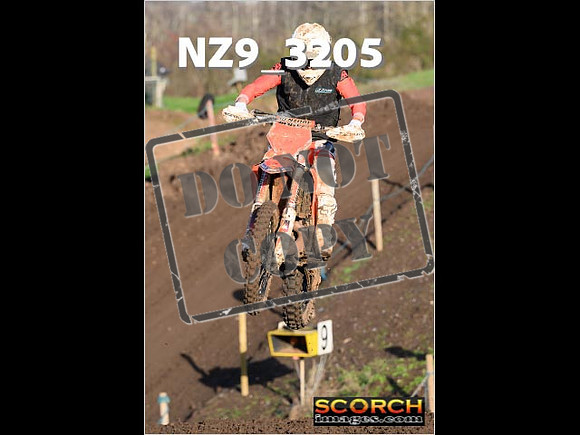 IntersGreenOrange-061