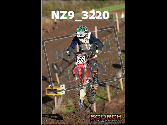 IntersGreenOrange-072