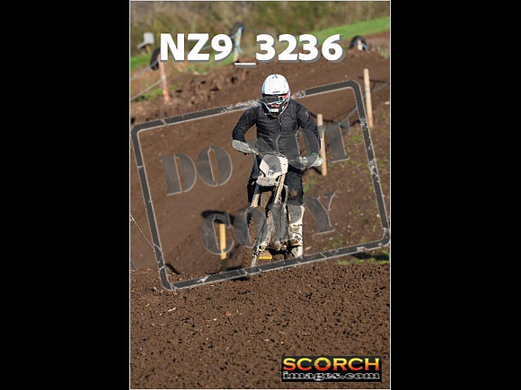 IntersGreenOrange-087