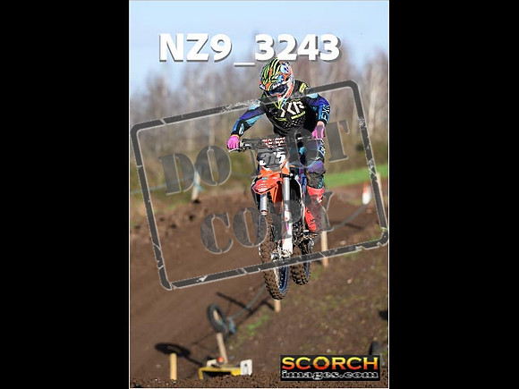 IntersGreenOrange-093