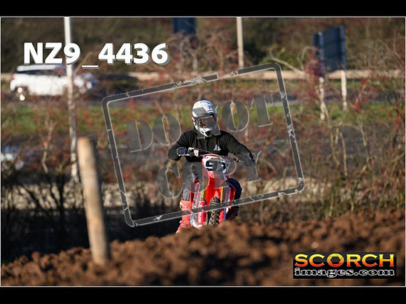 Experts-044