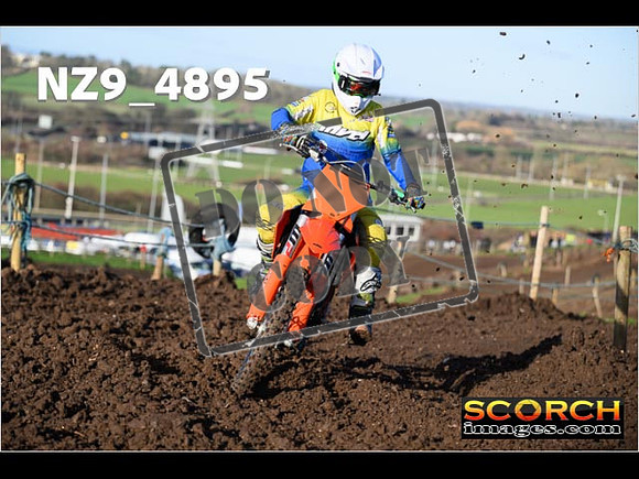 Experts-069
