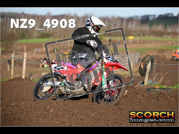 Experts-082
