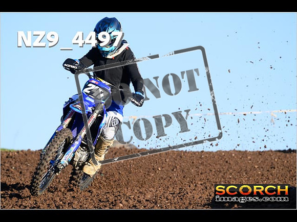 IntersBlue-044