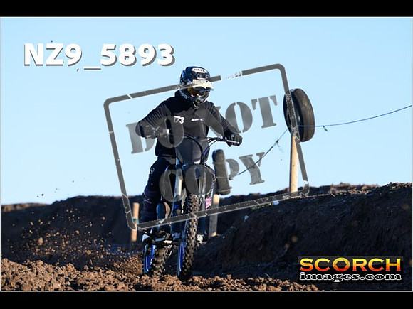 Experts-018