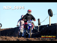 Experts-019