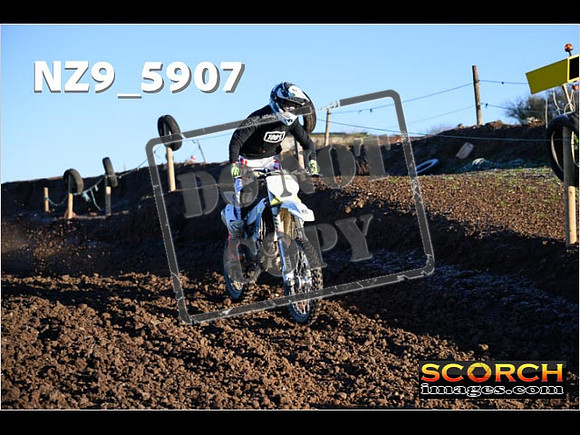 Experts-032
