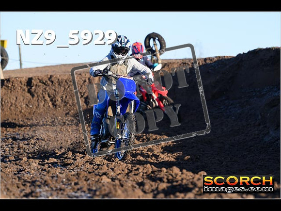 Experts-054