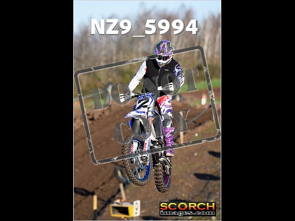 Experts-118