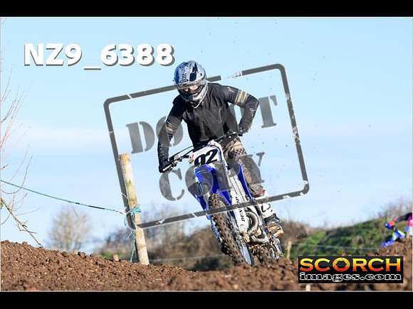 Experts-131
