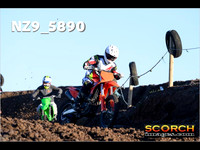 Experts-015