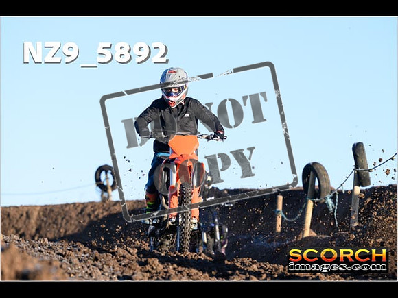 Experts-017