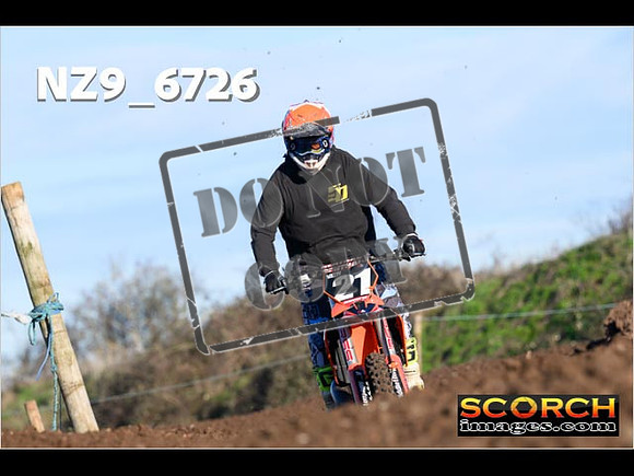IntersGreenOrange-173