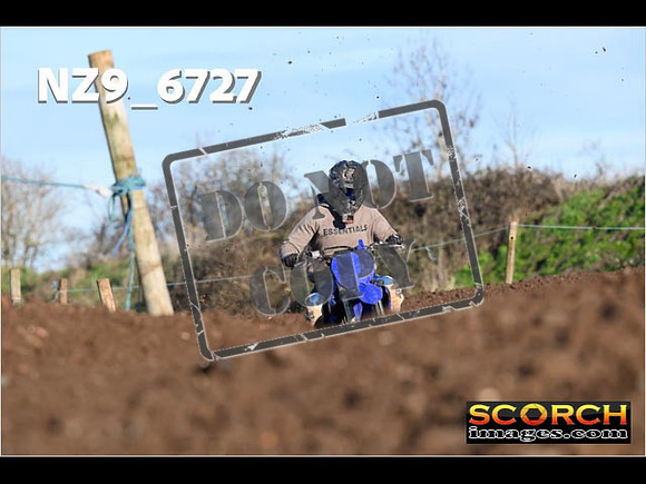 IntersGreenOrange-174